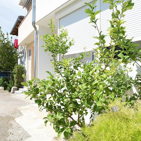 Relax 1 Apartment ปาโกชตาเน ภายนอก รูปภาพ
